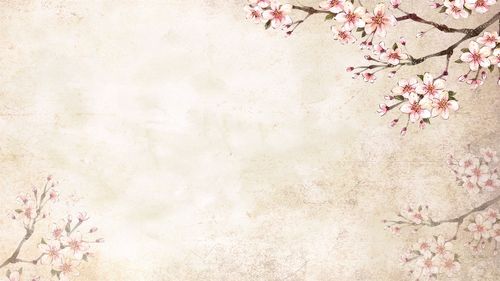 八张唯美水彩花卉幻灯片ppt模板素材免费下载-背景图片-艾奥云素材