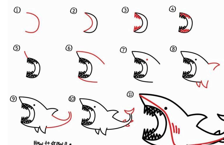 鲨鱼和虎鲸的简笔画