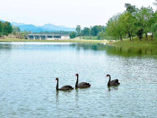 三岔湖环球融创天堂洲际酒店推出五一嗨玩季自然森友会主题活动
