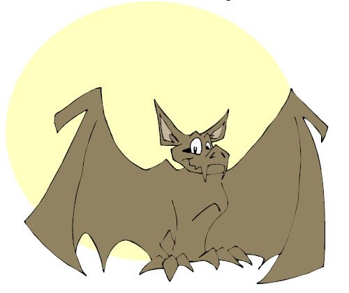bat 蝙蝠