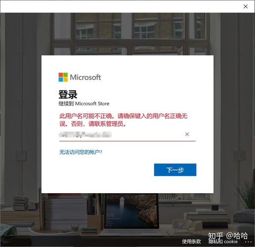 微软应用商店显示没网络