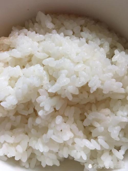 家常美食大米饭
