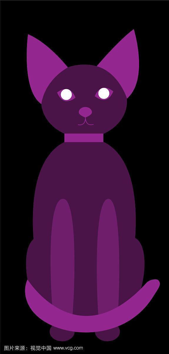 紫猫透明的坐着看
