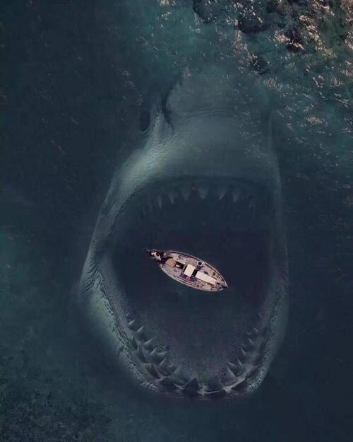 深海恐惧症图片 超长