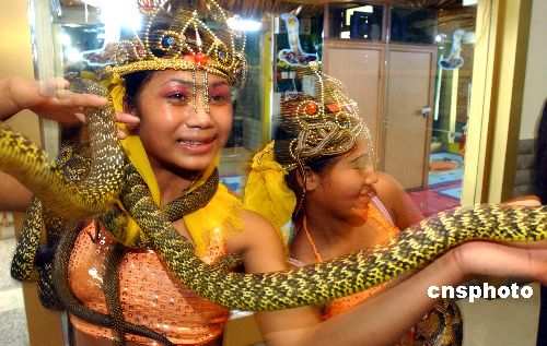 泰国美女在郑州动物园里与蟒蛇大跳贴身舞
