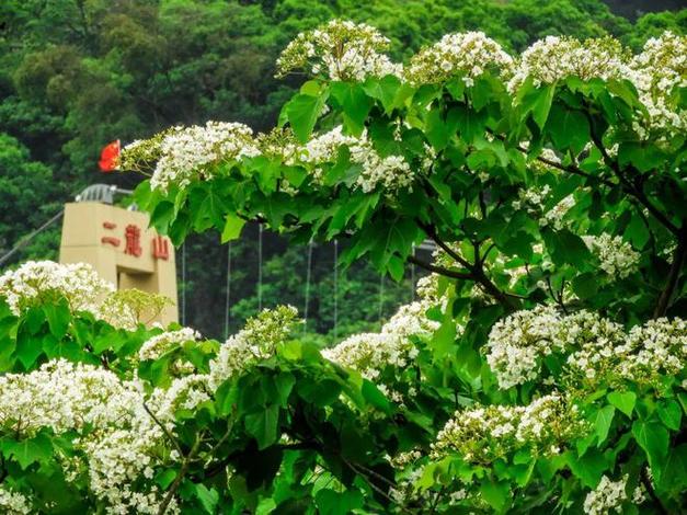 广州二龙山花园(原名二龙山国际生态园)位于充满田园风光的增城小楼镇