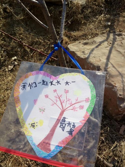 临沂莒南十字路街道第一幼儿园 大一班植树节之挂爱心牌篇