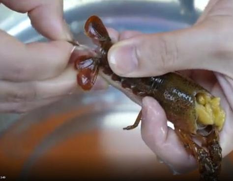 龙虾怎么洗简单又干净方法和窍门图解