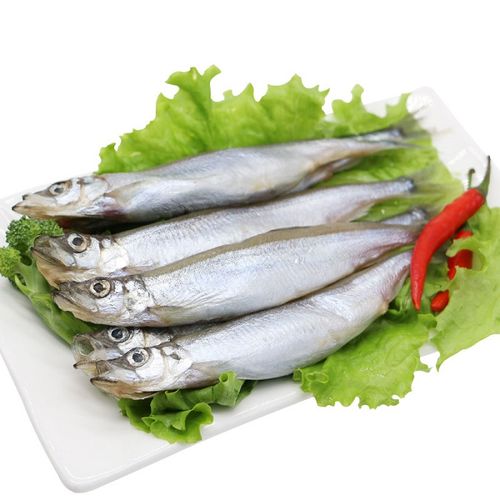 多春鱼 条条满籽美味的人气烧烤食材新鲜冷冻海鲜鱼类8条装
