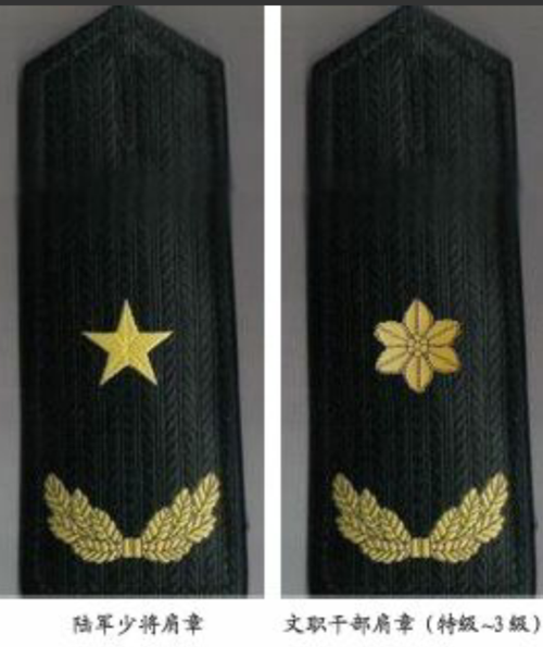 文职干部肩章,文职干部的肩章不是军衔,只是肩章符号.