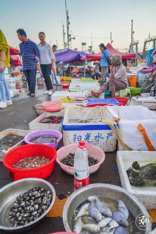 蛇口码头海鲜市场