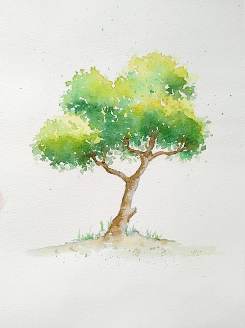 最近的手绘水彩大树