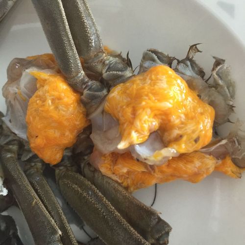 请问,这个大闸蟹的蟹黄正常吗,好吓人的样子