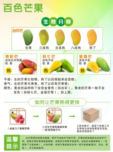 芒果的功效与作用吃法