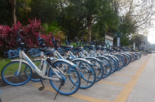 市城市管理局:升级共享单车管理手段,保群众