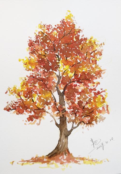一组秋树手绘水彩大树