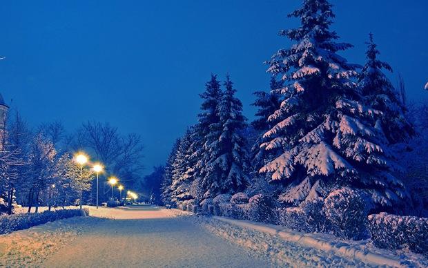 冬天唯美雪景意境图片