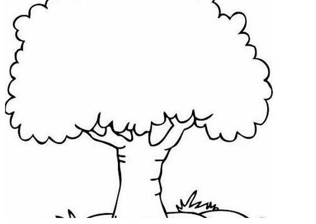 怎样画一棵树简笔画
