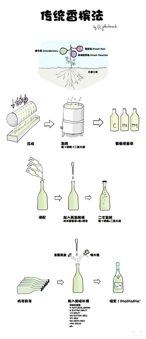 葡萄酒酿造:完美的气泡,香槟的酿造