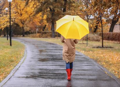 带伞的女人在雨天的秋天公园散步照片