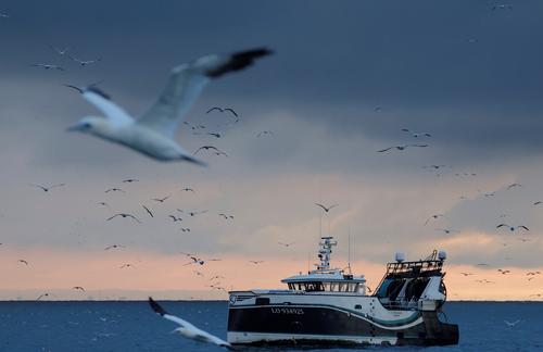 英方允许欧盟渔民继续在英国渔场捕鱼5年半英渔民非常失望