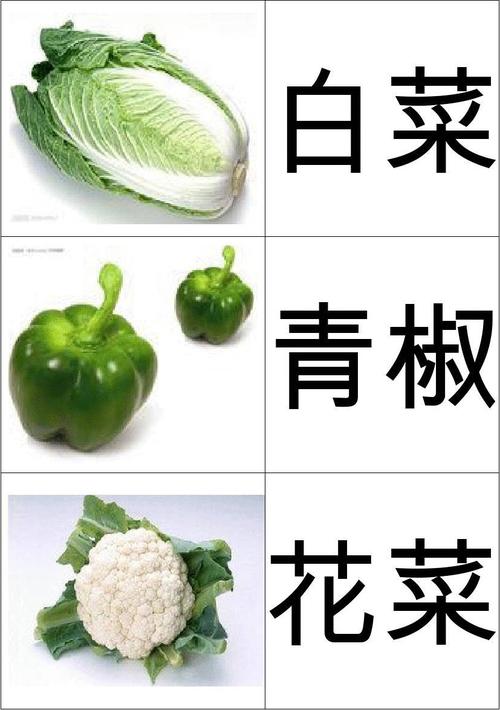 白菜 青椒 花菜