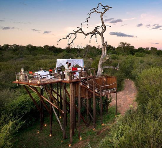 南非推独具风格树屋酒店:抬头星空低头丛林