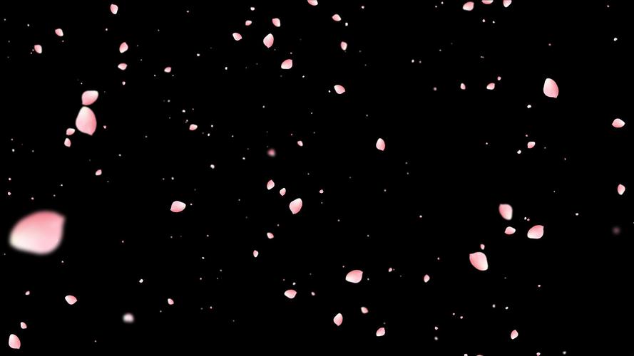视频4k粉色花瓣元素gif动态图gif粉色樱花素材gif动态图飘落樱花元素