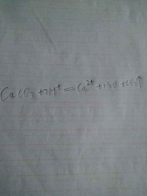 caco3 2h =ca2   h2o co2气体符号  你可能对下面的信息感兴趣   本