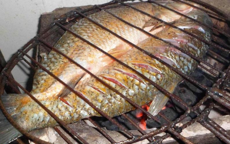 烤鱼这么做最好吃 家庭自制烤鱼 重庆祖传秘制烤鱼技术