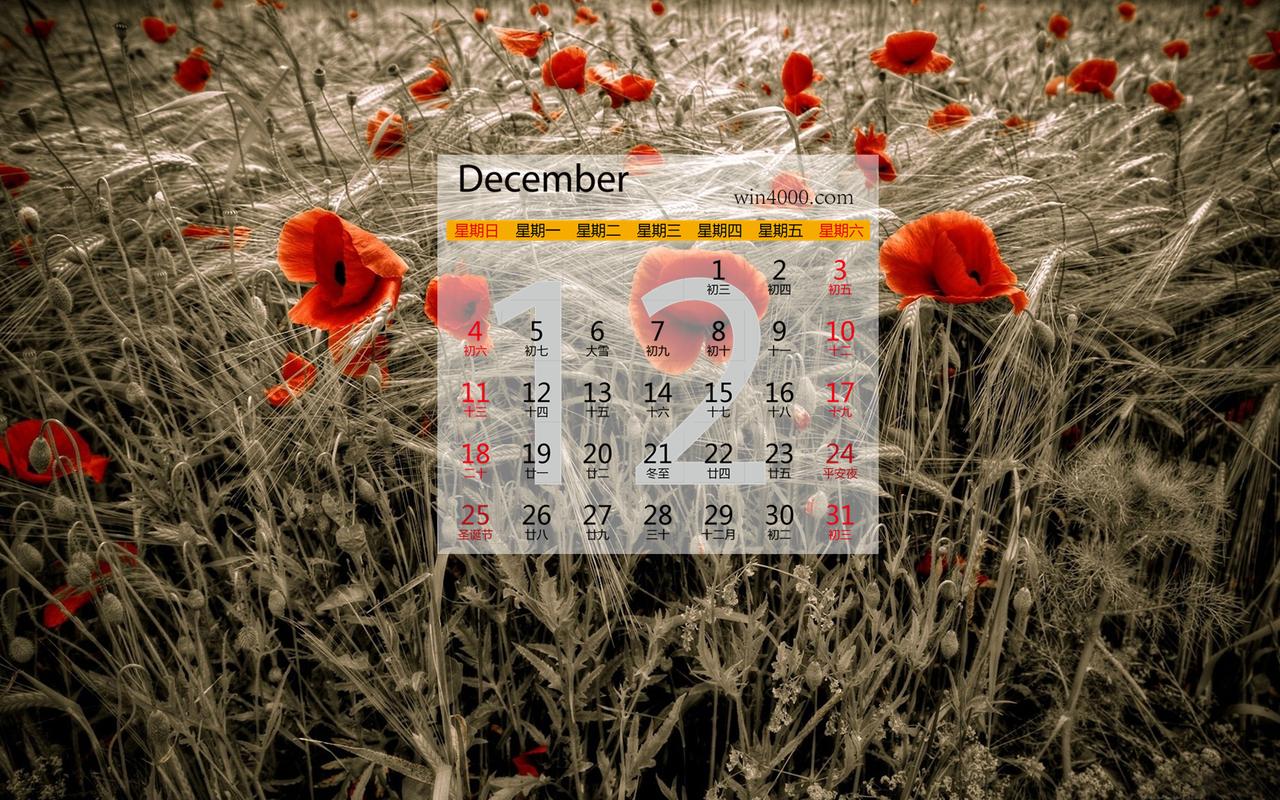 2016年12月日历清新唯美花卉植物图片高清电脑桌面壁纸