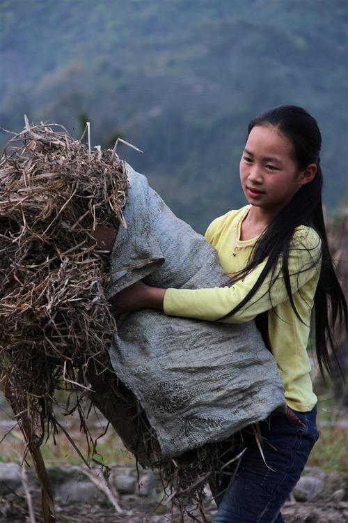 上一页 下一页 作品名称: 稻草还田  作品描述: 农家小女孩正在帮家里