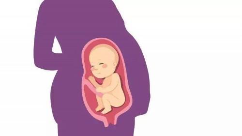 怀孕补钙的最佳时间:孕晚期(27周～足月)