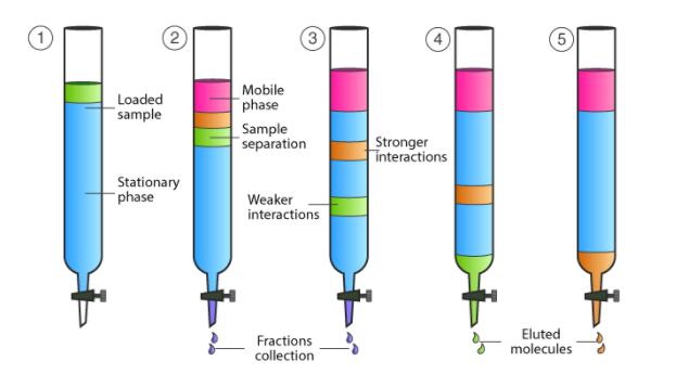 柱色谱(是什么,原理,图谱,流动相和固定相的功能)