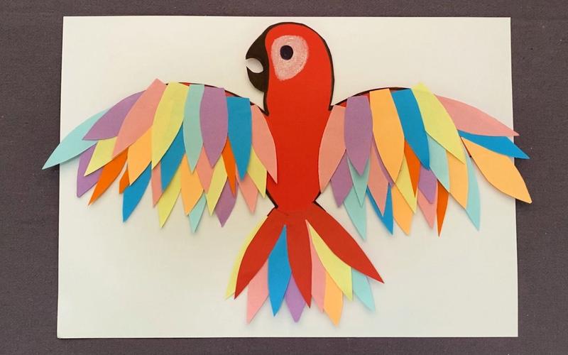 创意手工画 粘贴鹦鹉 用卡纸做只可爱的鹦鹉
