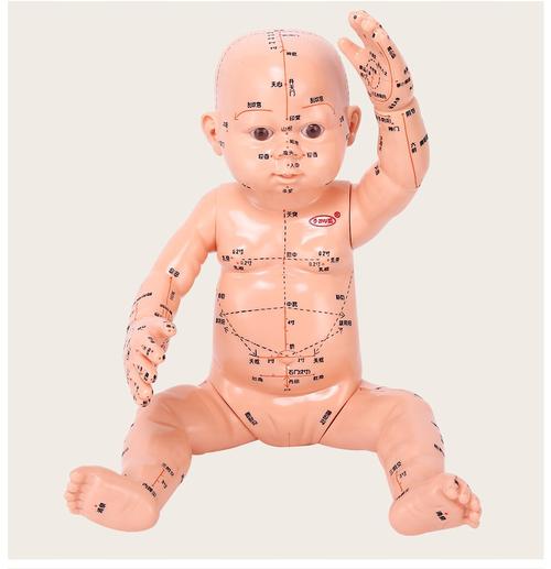 子彧ziyu小儿推拿穴位模型仿真婴儿假宝宝带穴位娃娃推拿穴位娃娃模型