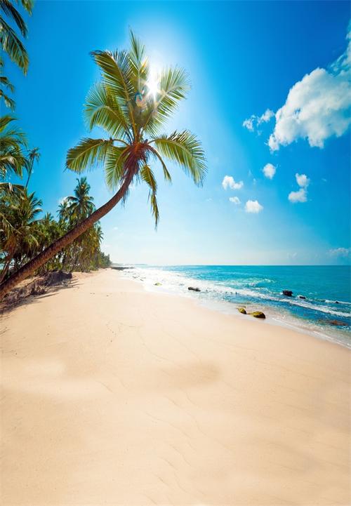 极惠家 大海背景布 大海沙滩蓝天白云海边椰树风景主播拍视频段子直播