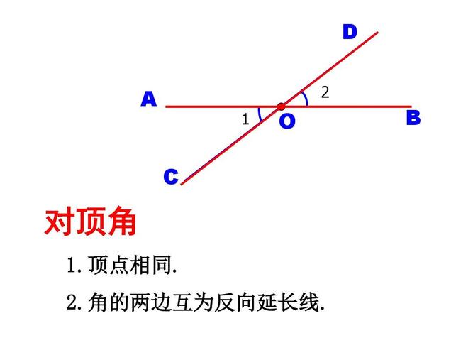 顶点相同. 2.角的两边互为反向延长线.
