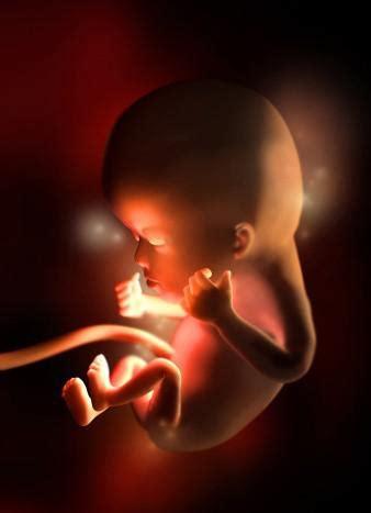 怀孕9周时胎儿长到2.