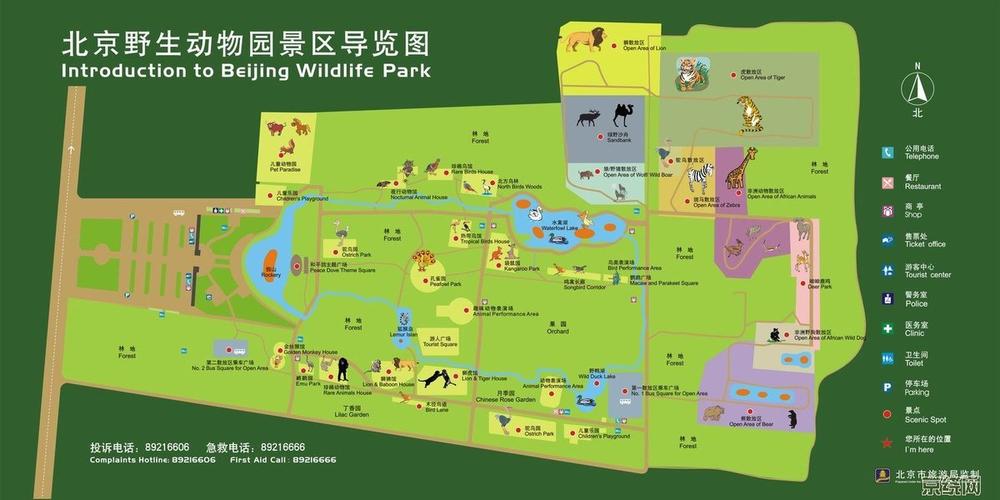 首都图书馆到北京野生动物园,不开车怎么走
