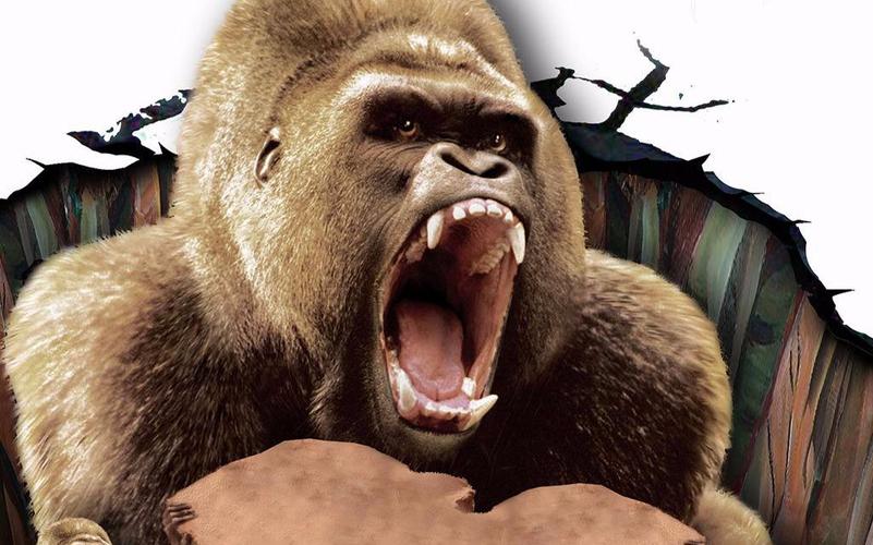 大猩猩:你见识过真正的超进化么?