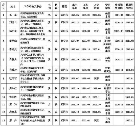 武冈市党委人大政府政协领导班子换届人选考察对象公示名单