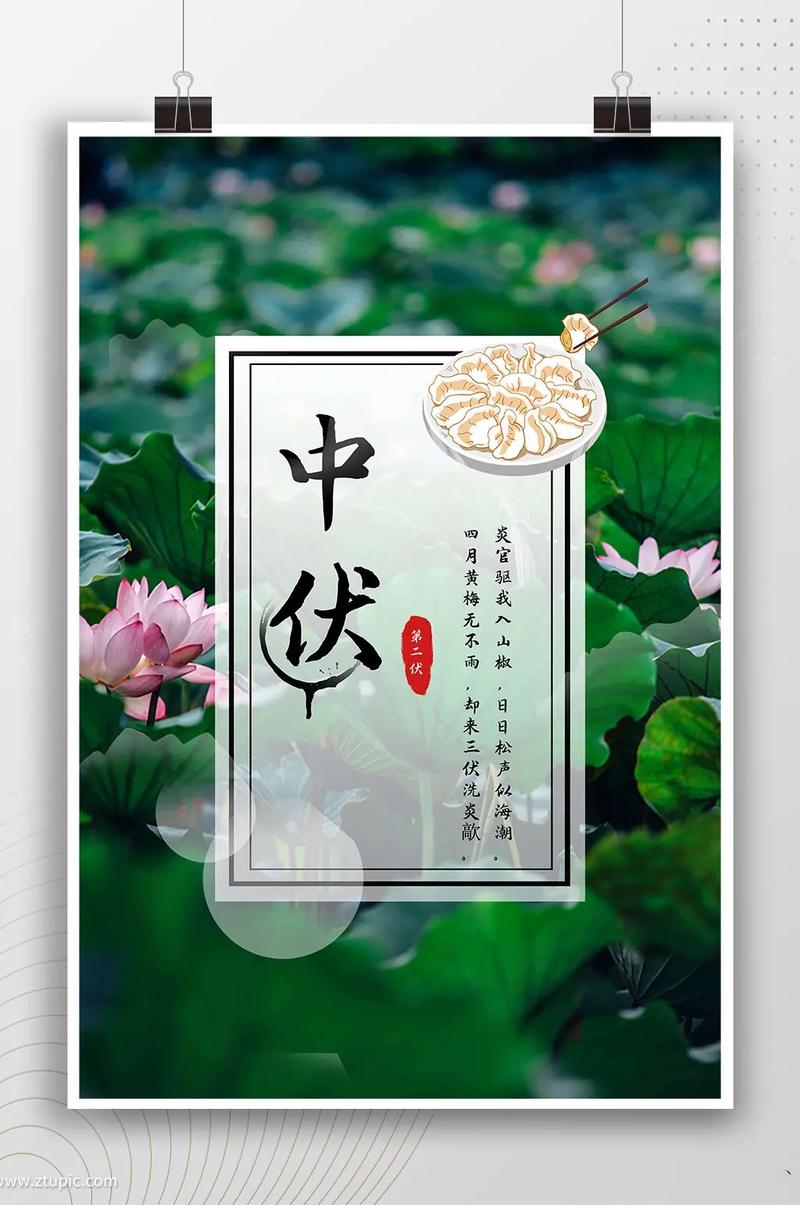中国传统二十四节气:中伏(2023年7月21日,癸卯年农历 - 抖音