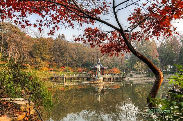 栖霞山秋天红叶 南京 旅游景点高清风景摄影大图片