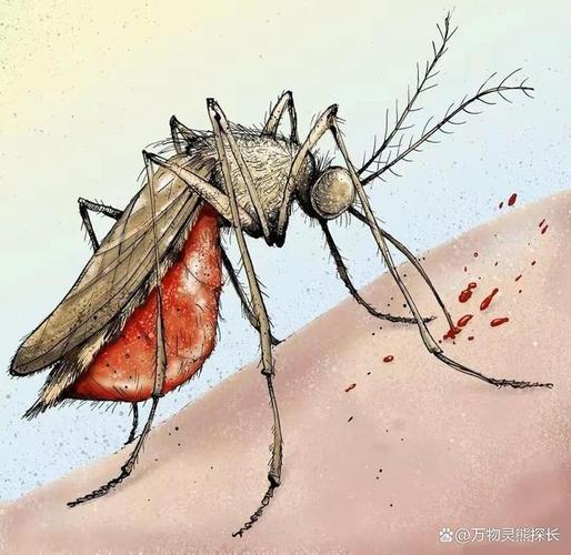 九成人不知蚊子最大的天敌是啥用一个妙招整晚开窗不用怕