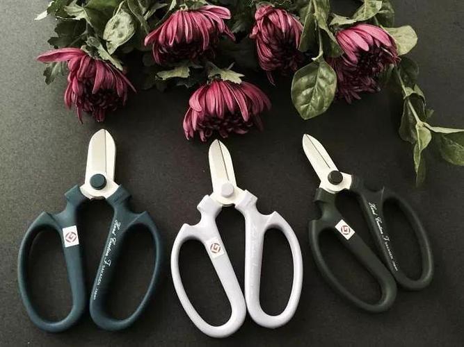 花艺剪刀丨花艺制作需要的十件称手美物