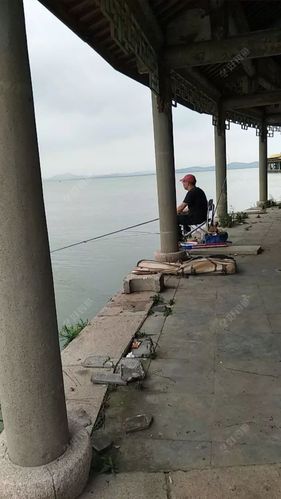苏州太湖哪里可以钓鱼的地方