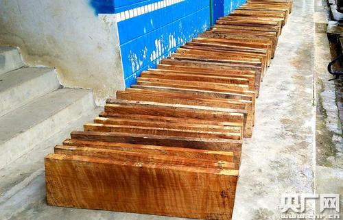 恒某某拉运的木材分别为国家一级重点保护野生植物红豆杉26件,材积:0