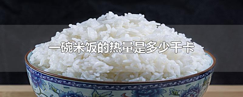 一碗米饭多少千焦的热量