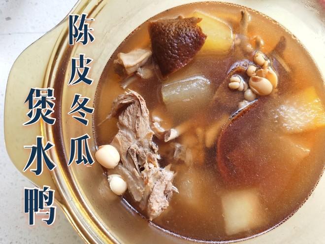 一锅祛湿秋季靓汤～～陈皮冬瓜煲水鸭的做法